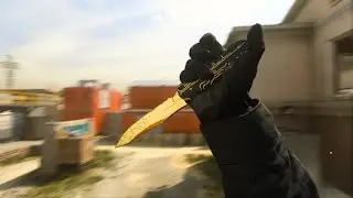 little highlight