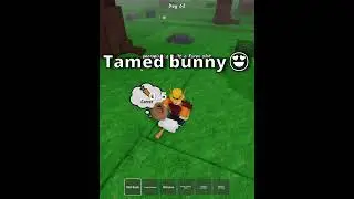99 Nights in The Forest - How To Tame A Bunny