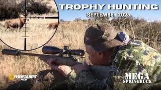 Last Trophy Hunt of the Season - Mega Springbuck Experience (Zebra, Springbuck, 4 Horn, Blesbuck)