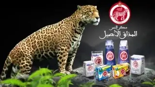 Cosumar - Spot publicitaire Enmer