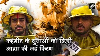 Jammu & Kashmir के युवाओं को दिखी आशा की नई किरण, मधुमक्खी पालन की तरफ हो रहे आकर्षित