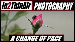 In2thinair #PHOTOGRAPHY (A Change of Pace) Original Music (Linked songs in Info Box)