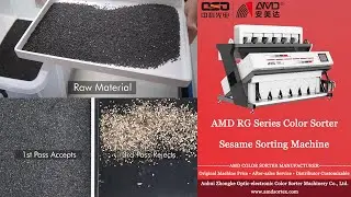AMD Sortex(RG6) Sesame Seeds Color Sorter Machine Price for Black Sesamum Sorting