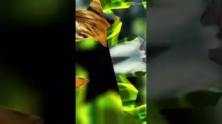 Diamond2