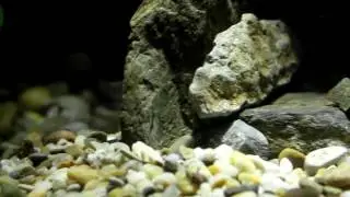 Paludarium build výroba / paludarium.sk