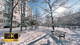 Chill Winter Walk Krasnodar Russia