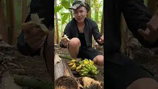 Главный сорт бананов УНИЧТОЧЕН грибами!😫🤬🍌