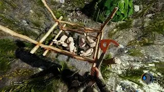 [German] The Forest Coop - Part 3
