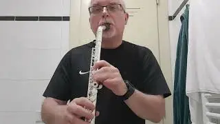 Down by the Sally Gardens Flute with Fliphead