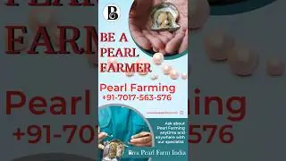 Pearl Farming Training for export quality pearls by Biva Pearl Farm India #pearlfarming #bivapearl