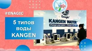 Компания Enagic | 5 типов воды Kangen
