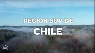 &iexcl;La Revoluci&oacute;n Del Vino Del Sur De Chile Que No Conoc&iacute;as!