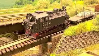 Mühlbach 1970 / V10c mit Unkrautsprengwagen und 99 1705 mit Güterzug
