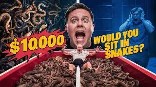 Would You Sit in a Pit of Snakes for $10,000? | MrBeast Hindi Dubbed