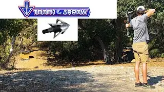 Tooth of the Arrow Broadheads | Do They Fly Like Field Tips?