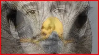 Photoshop Exercise 3:  Wanda Wulz Double Exposures