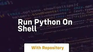run python on shell