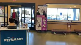 Автоматические двери в PetSmart в Уичито, штат Канзас