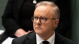 Interest rates going up by the ‘Albo-dozen’: Paul Murray
