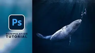 Photoshop underwater manipulation tutorial | Blue whale | girl | concept editing