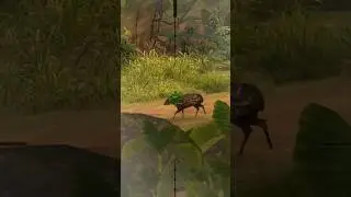 Chevrotain Hunting 🦌😱🌿 call of the wild #hunt #gaming #youtube