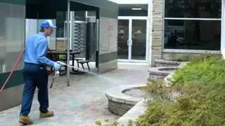 Colonial Exterminating Co Inc - Pest Control Newport News, VA