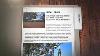 Imbali Group - Confidential File