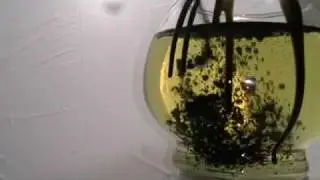 EPA Water Pollution Contest Entry