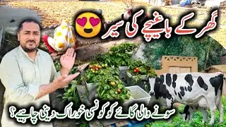 MY HOME GARDEN TOUR 🌿| Winter Gardening🥒| Kitchen Garden | Sajid Rehman Official