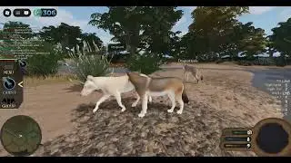 Eco's la Brea| Lessons| Roblox