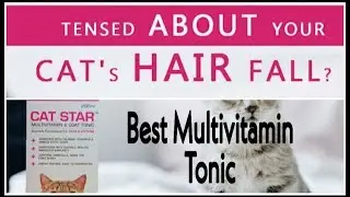 Лучший мультивитаминный тоник для кошек/котят Cat Star для здоровья, иммунитета и роста шерсти персидских кошек