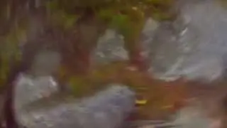 Sea trout takes a Spesial Vibra from S&oslash;lvkroken