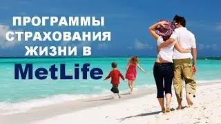 MetLife Украина. Какие программы страхования жизни можно купить в MetLife?
