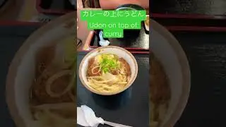 私の好きな煮カツがうどんの上に　My favorite boiled cutlet is on top of the udon