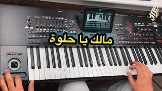 موسيقى مالك ياا حلوة ❤️ سلطنة على الأورغ - Malik yaa hilwa
