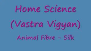 Home Science (Vastra Vigyan) Animal fibre - Silk