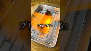 ブリの炙りでぼっちめし #shorts
