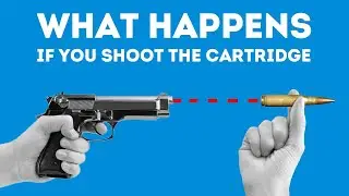 5 DUMBEST EXPERIMENTS WITH WEAPONS