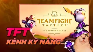 TFT sound background làm việc, học bài chill