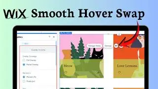 How to change image on hover in Wix (Interactive Visual)