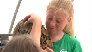 Celebrating 90 Years: animals, chalk art and prizes at Vigo County Fair