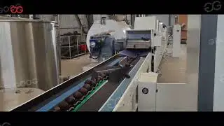 Industrial Fruit Avocado Sorting & Processing Line Manufacturer | High-Efficiency Grading Solutions