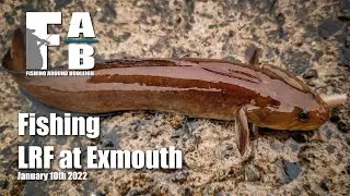 LRF Fishing at Exmouth - 10th January 2022
