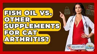 Fish Oil Vs. Other Supplements For Cat Arthritis? - Ask A Pet Vet