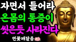 자면서 듣기만 하세요. 온몸의 통증이 씻은 듯 사라지고 말년 기운이 살아나는 부처님 말씀 3가지 | 부처님 말씀 | 석가모니 | 불교명언 | 불교오디오북