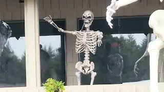 Wocst 5 4Ft 165cm Halloween Skeleton Full Body Life Size Human Bones with Movable Joints Review