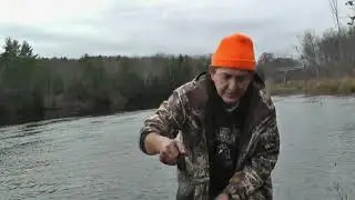 Trapping Muskrat with Repeating Colony Traps - John Chagnon