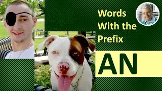 Words With The Prefix AN (6 Illustrated Examples)