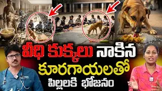 78 మందికి రేబిస్ వాక్సిన్ కుక్క నాకిన కూరగాయలతో భోజనం || Dr. Krishnakanth || anchor Nirupama SumanTv