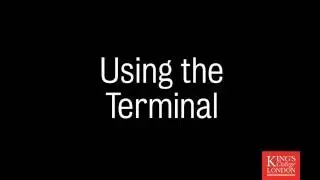 Command Line Tools for Exploring Data